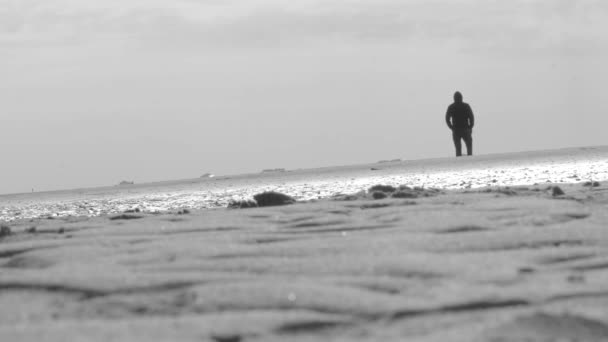 Wadden Sea Low Tide Time Man Silhouette Black Walks Wadden — Stock video