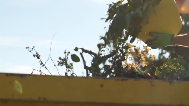 Residuos Vegetales Compost Verde Las Manos Los Guantes Jardinería Vierten — Vídeos de Stock