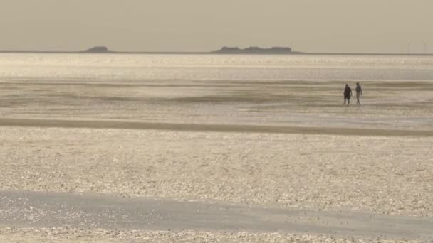 Wadden Sea Walking Dunas Watt Silhuetas Pessoas Praia Caminhadas Longo — Vídeo de Stock