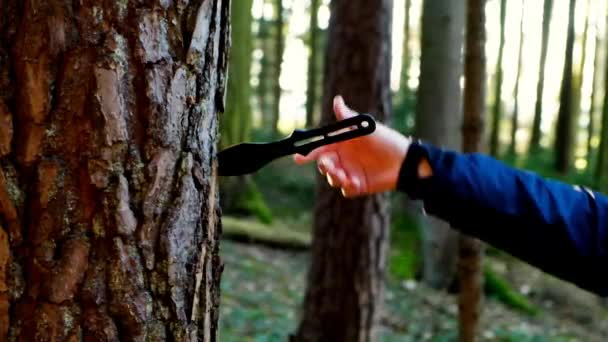 Кидання Ножів Руки Тягнуть Ножі Кидання Дерев Яного Стовбура Металеві — стокове відео