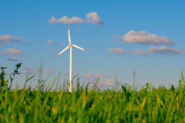 Çimenlikteki rüzgar jeneratörü. Yenilenebilir enerji. Alternatif enerji kaynakları. Çevre dostu doğal enerji kaynağı.