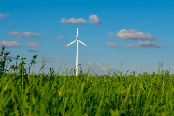 Generátor Větru Zelené Trávě Obnovitelné Energie Alternativní Zdroje Energie Přírodní — Stock fotografie