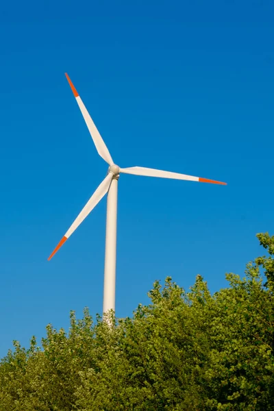 Windmühle Baumzweigen Auf Blauem Himmelhintergrund Erneuerbare Energie Alternative Energiequellen Natürliche — Stockfoto