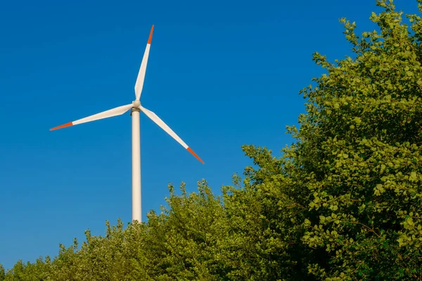 Grüne Energie Windmühle Baumzweigen Auf Himmelhintergrund Erneuerbare Energie Alternative Energiequellen — Stockfoto