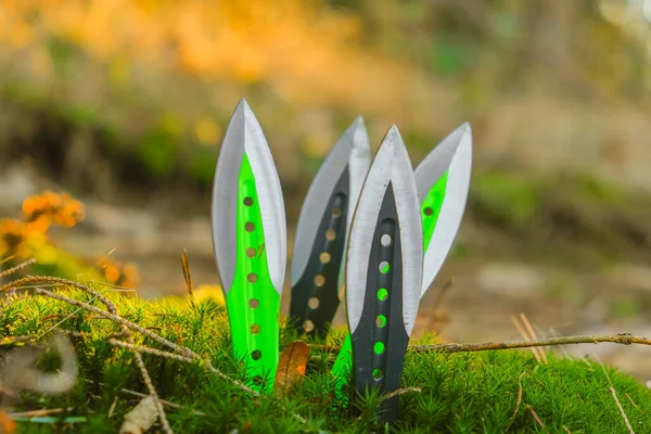 Güneşli Çam Ormanlarının Arka Planında Yosunlara Yerleştirilmiş Metal Bıçaklar Açık — Stok fotoğraf