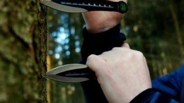 Köknar ormanı arka planına atmak için tahta metal bıçaklara saplanmış bıçaklar. Açık hava spor ekipmanları. Yüksek kalite 4k görüntü