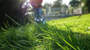 Çim biçme. Kot pantolonlu bir adam ön bahçesini biçiyor. Yeşil çim biçme makinesi yaz bahçesinde çimleri biçiyor. Bahçede yaz işi. 4k görüntü