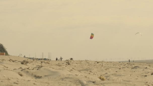 Wadden Denizi Uçurtmalar Kumsalda Yürüyen Insanlar Ağır Çekim Görüntü — Stok video