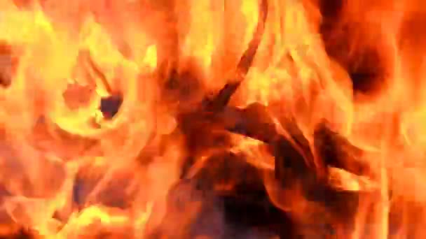 Brûler Les Branches Ralentir Papier Peint Ardent Flammes Étincelles Colorées — Video