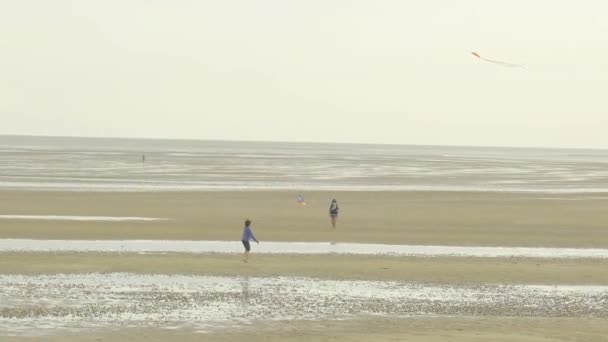 Παιδί Και Μητέρα Πετούν Χαρταετούς Στην Παραλία Συννεφιασμένο Καιρό Δραστηριότητες — Αρχείο Βίντεο