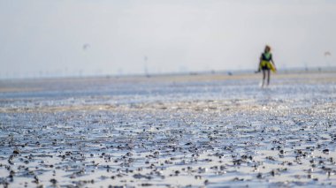 Wadden Denizi. İnsanlar, Almanya 'nın sarkık Kuzey Denizi' nin sarkık kumlu tabanı boyunca yürüyor. Eğlence ve deniz tatili.