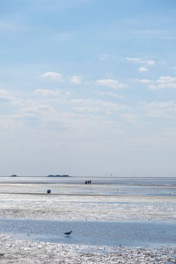 Wadden Denizi. Almanya 'nın Frisian Adaları' ndaki sahilde bir sürü insan var. Watt kumullarında yürüyorum. Gıdıklanmış Kuzey Alman Denizi 'nin kumlu tabanı boyunca yürüyorum. Denizde tatil..