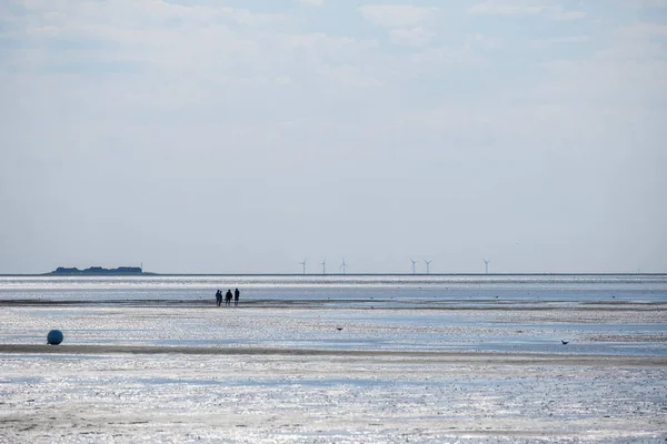 stock image Wadden Sea.Silhouettes of people on the beach.Fer Island.Frisian Islands of Germany. walking on watt dunes.Walks along the sandy bottom of the wattled North Sea of Germany.vacation at sea.