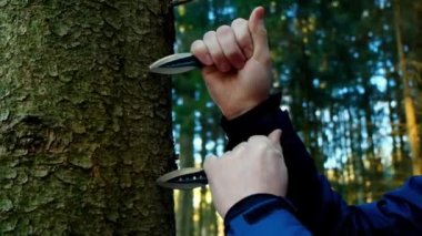 Köknar ormanı arka planına atmak için tahta metal bıçaklara saplanmış bıçaklar. Açık hava spor ekipmanları. 4k görüntü