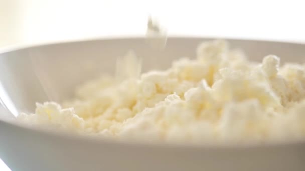Cottage Cheese Hands Verser Fromage Blanc Frais Cottage Dans Une — Video