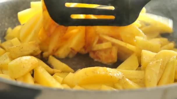 Pommes Terre Frites Appétissantes Avec Croustillante Marron Images Haute Qualité — Video
