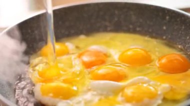Ayçiçeği yağında kızarmış yumurta. Sabah güneş ışığında yumurta ile kızartma tavası. Yüksek kalite 4k görüntü