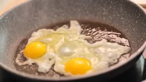 Жареные Яйцеклетки Жареные Яйца Омлетом Подсолнечном Масле Яйца Падают Сковороду — стоковое видео