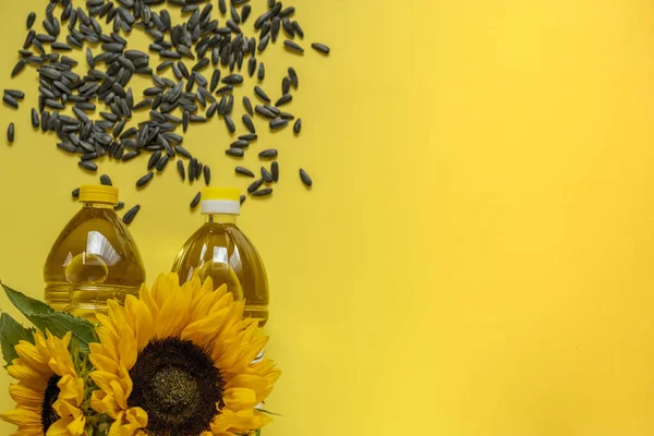 Олійні Пляшки Чорне Насіння Соняшнику Соняшники Цвітуть Яскраво Жовтому Тлі — стокове фото