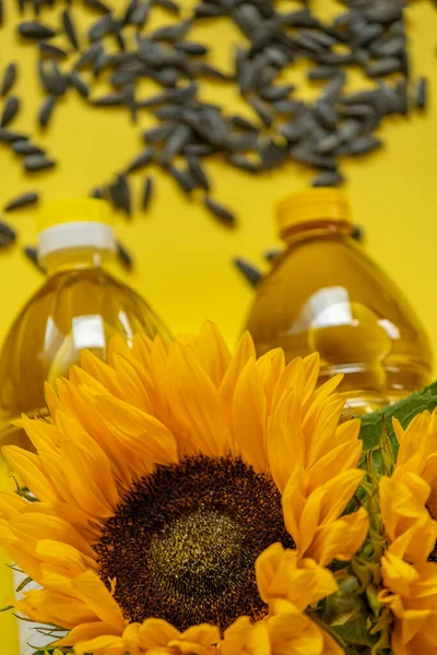 Олія Чорне Насіння Соняшнику Квітучі Соняшники Яскраво Жовтому Тлі Органічна — стокове фото