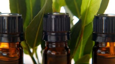 Laurel yaprağı yağı. Yeşil defne yaprağıyla birlikte gerekli defne yağı şişeleri. Baharatlar, baharatlar, romaterapi ve masaj. 4k görüntü