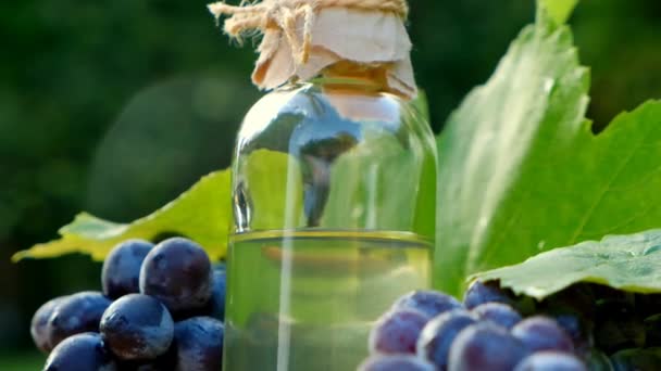 Olej Nasion Winogron Przezroczystej Butelce Ciemne Winogrona Duże Grona Zielonym — Wideo stockowe