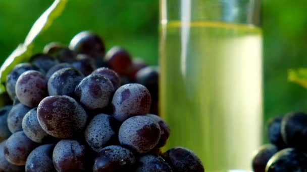 Виноградна Олія Інгредієнт Оцту Органічна Натуральна Олія Виноградного Насіння Прозорій — стокове відео