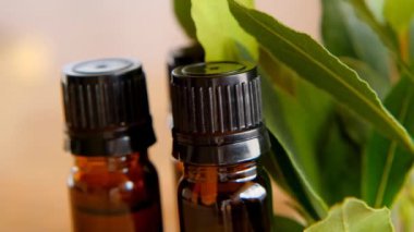 Laurel yaprağı yağı. Koyak yaprağı yağı şişeleri kahverengi ahşap sehpanın üzerine koyulmuş. Yeşil defne yapraklarıyla. Baharatlar ve baharatlar. 4k görüntü