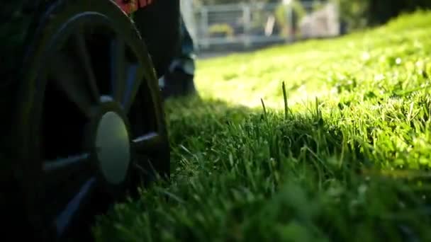 夏天阳光明媚的一天 修剪草坪 绿色割草机近距离修剪草坪 穿蓝色牛仔裤的人在草坪上割草 花园的技术和设备 夏天在花园里干活 4K镜头 — 图库视频影像