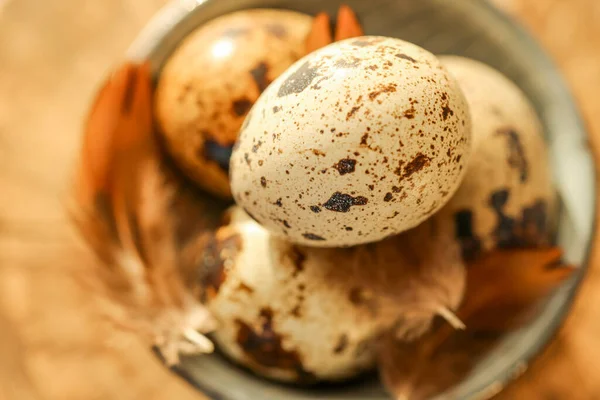 Farm Quail Eggs Set Rays Sun Quail Eggs Feathers Ceramic — Stock Photo, Image