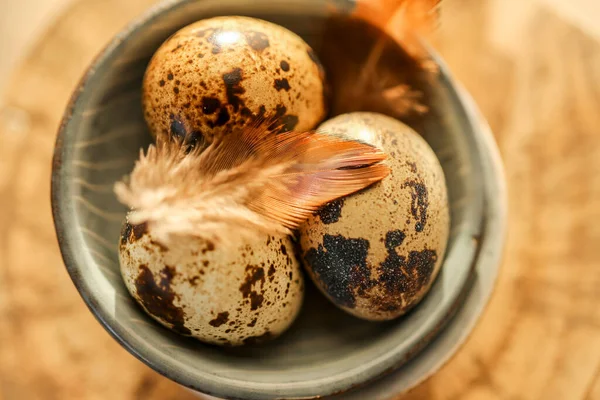 Quail Eggs Feathers Ceramic Cup Top View Animal Protein Useful — Stock Photo, Image