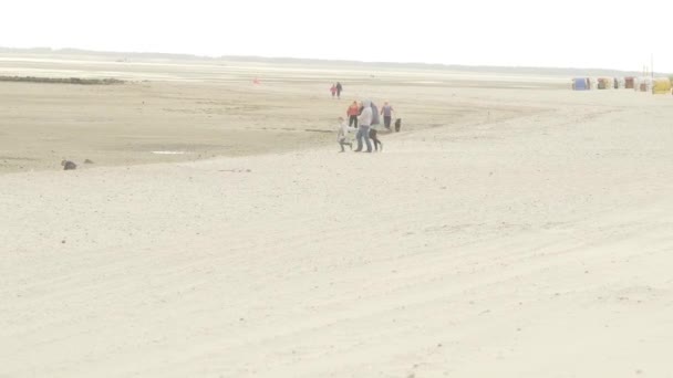 ワッデン海北海沿岸の子供たちと家族 子供たちは砂と遊ぶために実行されます 海のレクリエーションや休暇 人々は城壁ビーチに沿って歩く スローモーション 4K映像 — ストック動画