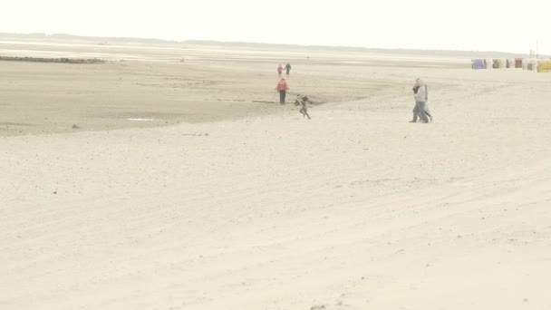 ワッデン海海岸北海沿岸の子供たちと家族 子供たちは砂と遊ぶために実行されます 海のレクリエーションと休暇 人々は城壁ビーチに沿って歩く スローモーション — ストック動画