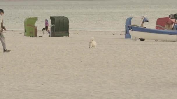 해변에 사람들 해변에 있어요 바다에서 휴가를 보내는 사람들 — 비디오