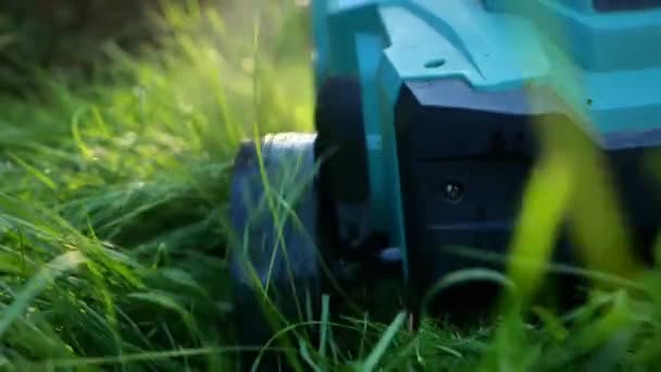 夏天阳光明媚的一天 一个穿着蓝色牛仔裤的人在草坪前面修剪草坪 4K镜头 — 图库视频影像
