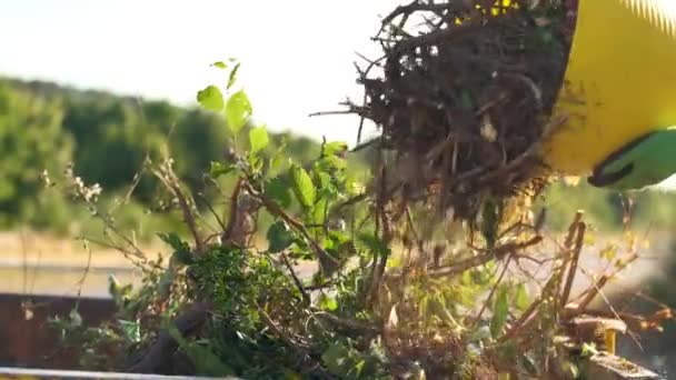 Зелений Компост Руки Зелених Садових Рукавичках Заливають Гілочками Листям Високоякісні — стокове відео