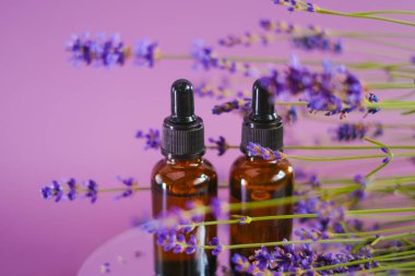 Eflatun arkaplanda cam şişelerde lavanta yağı. Lavanta kokusu. Lavanta kokulu parfüm. Kokulu esans. Aromaterapi ve masaj. Lavanta özlü kozmetik. 