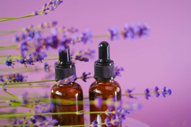 Eflatun arkaplanda cam şişelerde lavanta yağı. Lavanta kokusu. Lavanta kokulu parfüm. Aromaterapi ve masaj. Lavanta özlü kozmetik. 