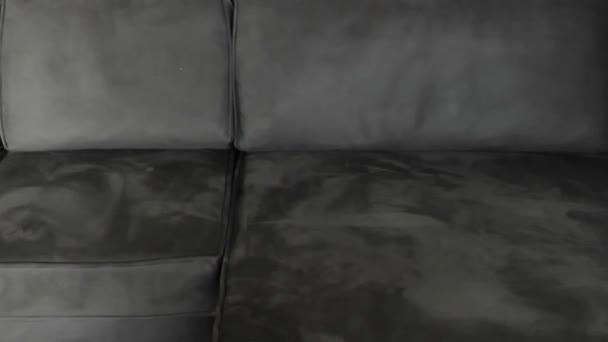 Подушки Дивана Руки Кидають Багато Барвистих Подушок Сірому Замшевому Дивані — стокове відео