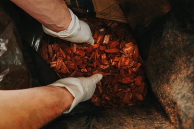 Ellerinde odun parçaları. Ahşap yongalarla saman. Eller çantadan kahverengi odun parçaları topluyor. Bahçe için dekoratif cipsler..