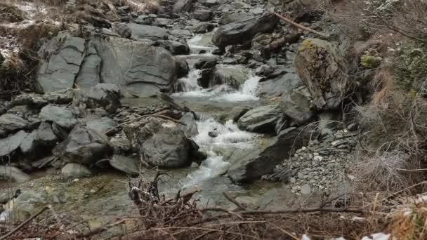 Горная Река Медленное Движение Поток Воды Течет Камням Горная Река — стоковое видео