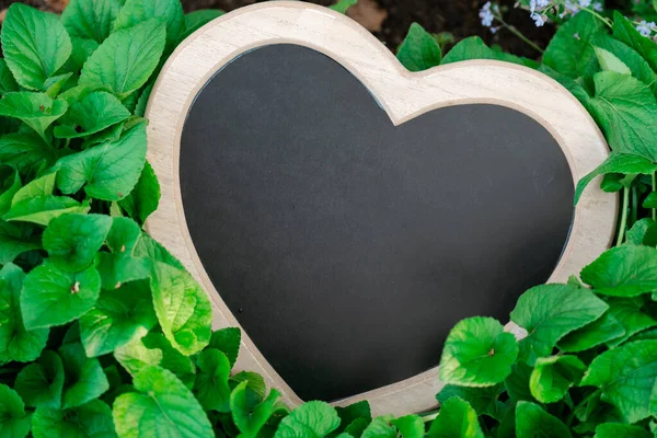 Love for nature.Earth Day.Heart chalk board blank in green leaves.Ecological concept.