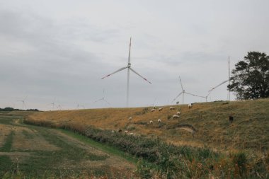 Rüzgar jeneratörleri. Rüzgâr değirmenleri sisli ve bulutlu bir havada tarlada kuzular kuruyor. Doğal yenilenebilir temiz eko enerji. Alternatif enerji kaynakları. Çevre dostu doğal enerji kaynağı. Rüzgar enerjisi.