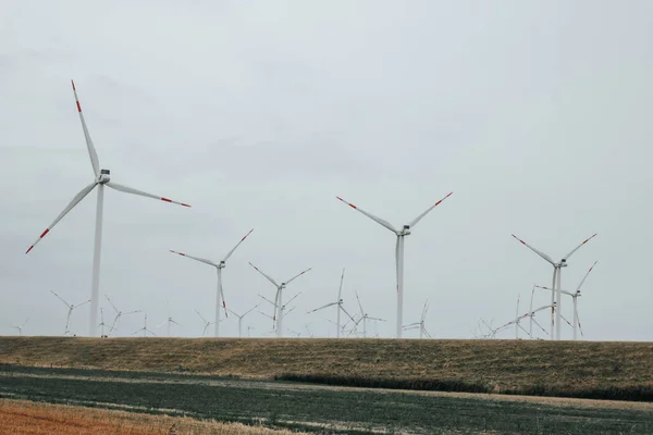 Windmills Set Field Foggy Cloudy Weather Natural Renewable Clean Energy — Stock Photo, Image