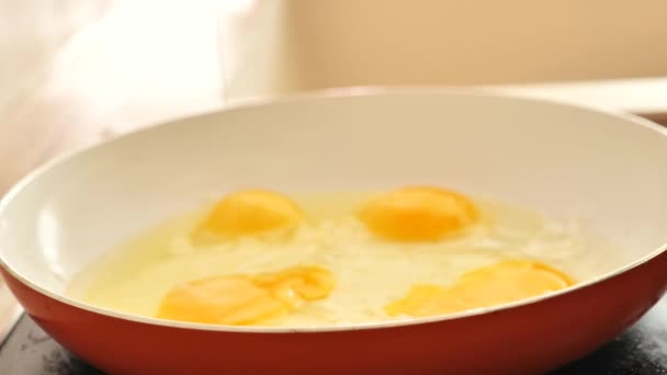 Stekta Ägg Till Frukost Proteinfrukost Aptitretare Stekta Ägg Solrosolja Ägg — Stockvideo