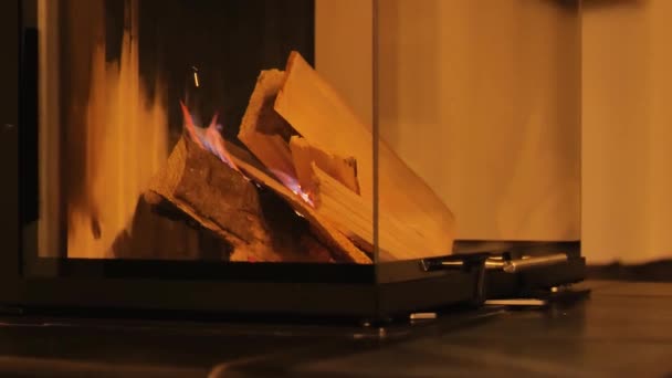 Дрова Горять Спалювання Деревини Скляному Каміні Камін Всередині Вогонь Вгору — стокове відео