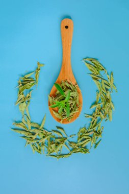 Stevia bitkisi. Şeker yerine. Kurumuş ve taze yapraklar ahşap bir kaşıkta mavi bir arka planda. Düşük Kalorili Sebze Tatlandırıcı.