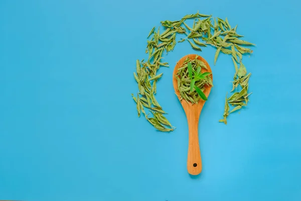 Stevia plant.Sugar substitute. Dried and fresh stevia leaves in a wooden spoon on a blue background. Low Calorie Vegetable Sweetener. Natural dietary sweetener.