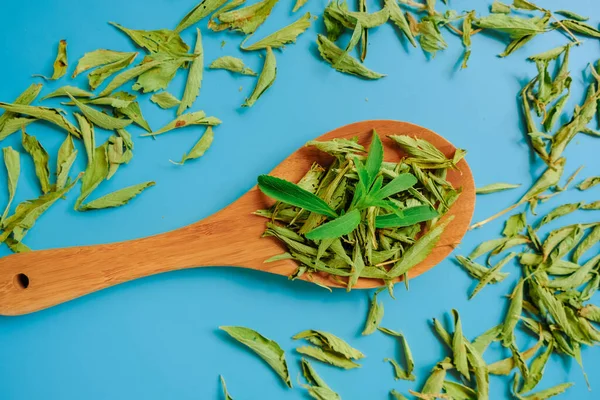 Dried Fresh Stevia Leaves Wooden Spoon Blue Background Stevia Rebaudiana — Stock Photo, Image