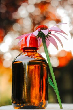 Ekinezya tütsüsü. Bitkisel tütsüler. Bulanık bahçedeki cam şişe ve ekinezya çiçeği. Doğal geleneksel tıp ve alternatif homeopati..